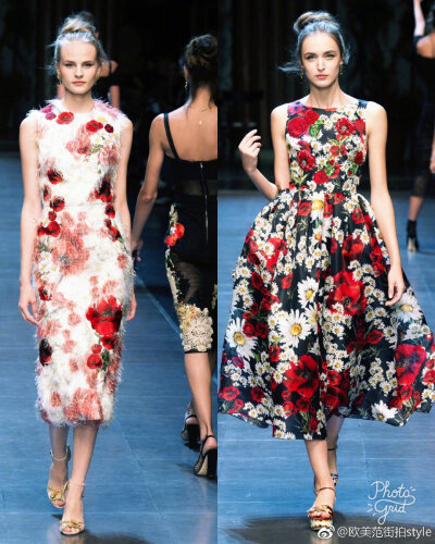  Dolce & Gabbana 