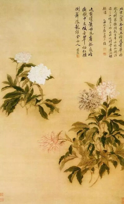 恽南田《五色芍药图》，轴·绢本·设色，118.5×71.6cm，清代