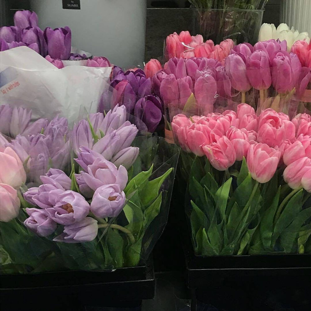 阳光下慎重地开满了花
朵朵都是我前世的盼望–
