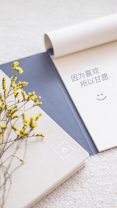 文艺壁纸