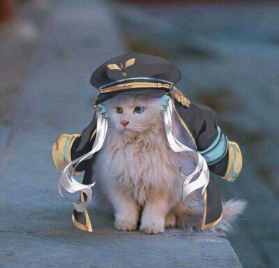 神乐mea 来源B站