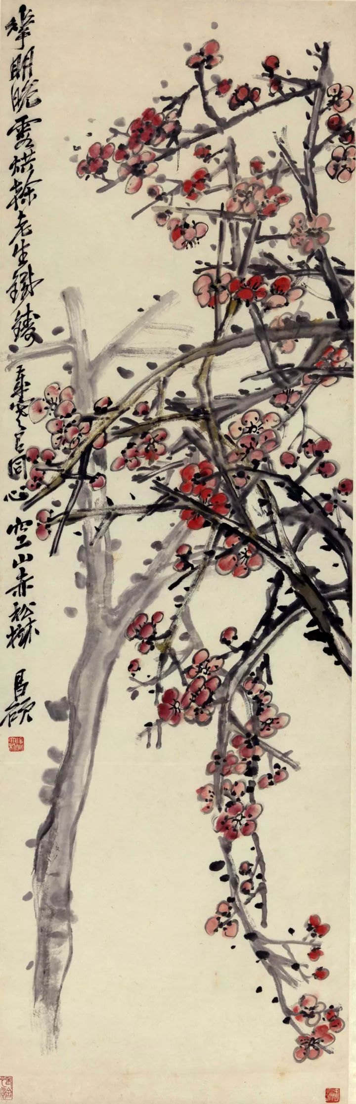 吴昌硕《红梅》，国画，137×43.5cm，家属捐赠老舍、胡絜青藏画