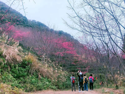 登山