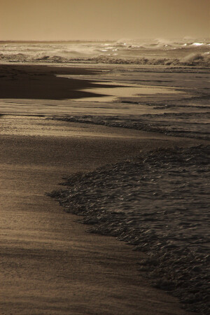 ᴍᴏᴏɴ ʜᴏᴛᴇʟ