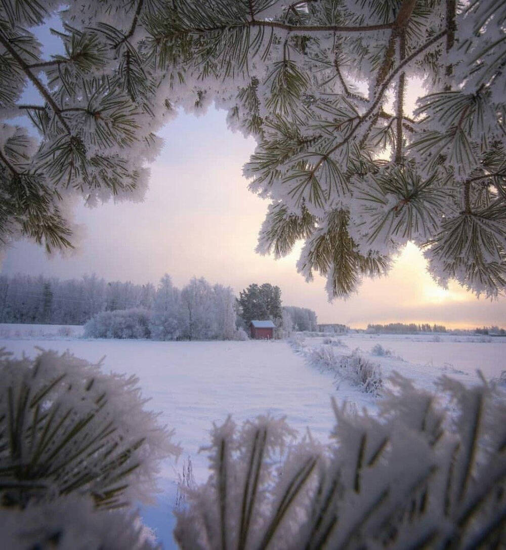 雪景