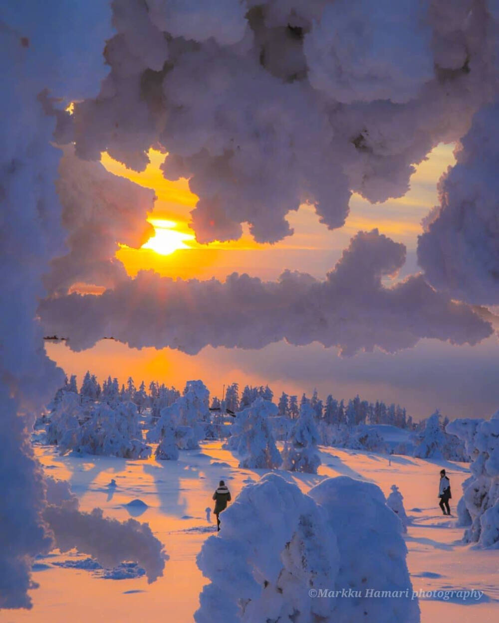 雪景