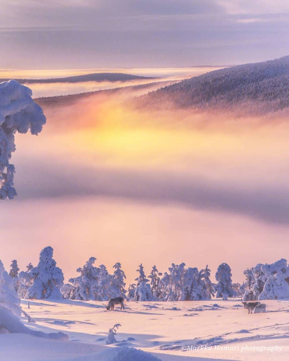 雪景