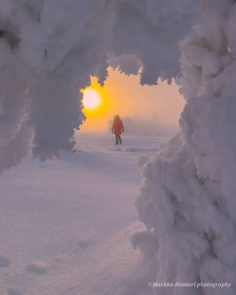 雪景