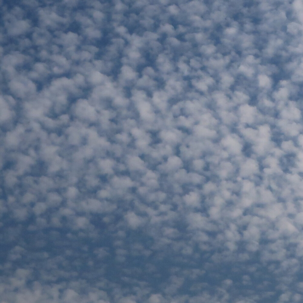 棉花糖☁️