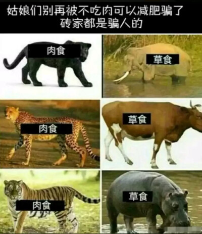 来自贴吧