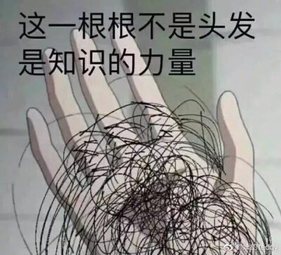 表情包