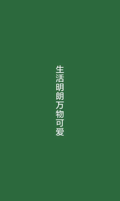 壁纸
