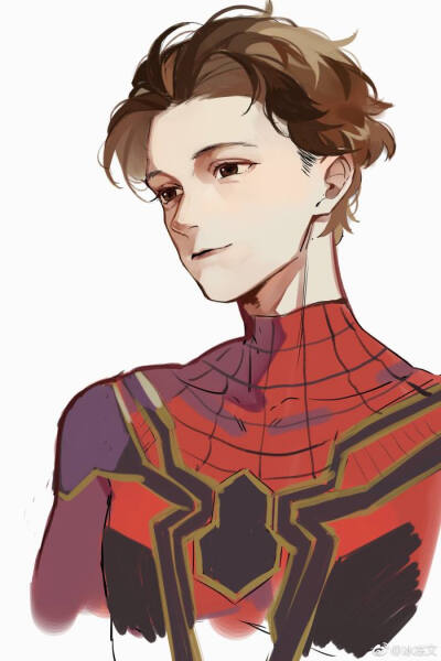 【蜘蛛侠】汤姆赫兰德