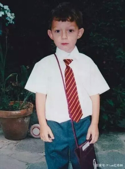 【蜘蛛侠】汤姆赫兰德