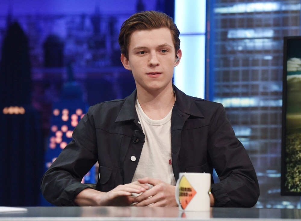 【蜘蛛侠】汤姆赫兰德