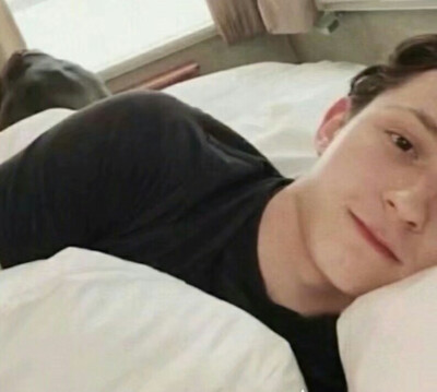 【蜘蛛侠】汤姆赫兰德