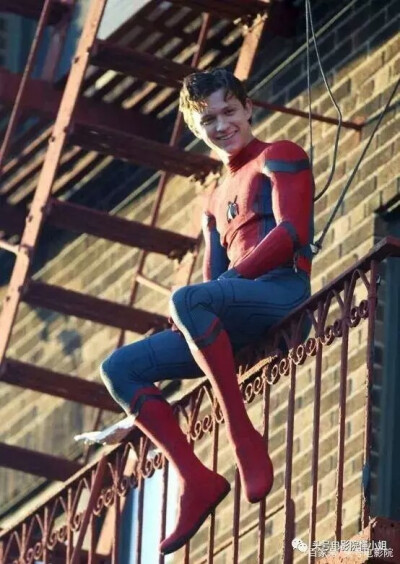 【蜘蛛侠】汤姆赫兰德