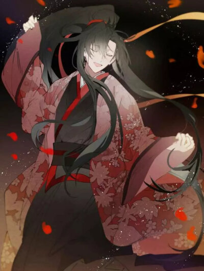 魔道祖师
蓝忘机魏无羡