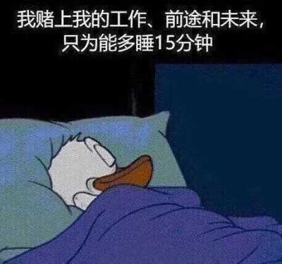 心灵慰藉