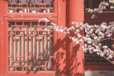 幸得识卿桃花面，从此阡陌多暖春