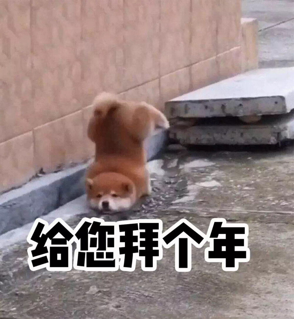 表情包