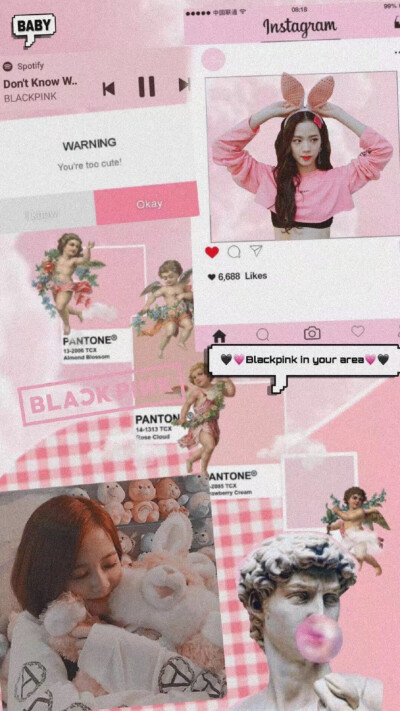 blackpin壁纸