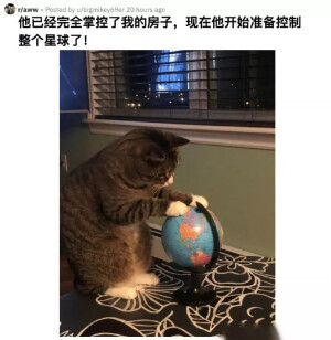 猫咪控制地球