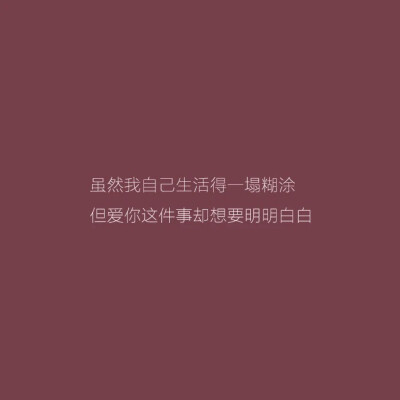 皮蛋｜惊鸿一瞥