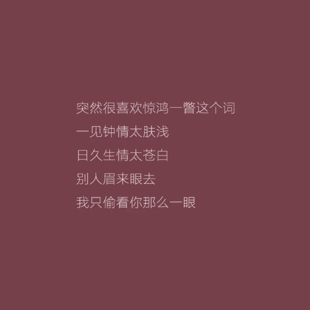 皮蛋｜惊鸿一瞥