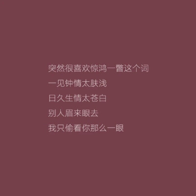 皮蛋｜惊鸿一瞥