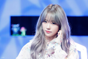 LUDA