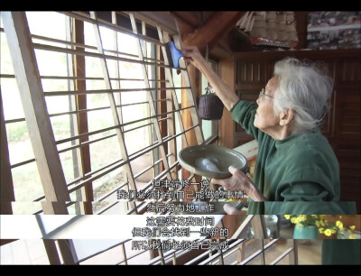 人生果实 人生フルーツ
缓慢而坚定地生长