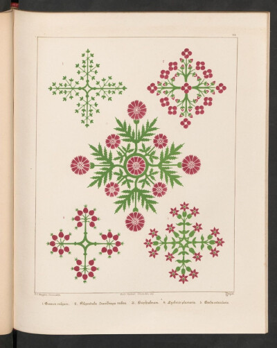 《Floriated ornament 》( 花卉装饰图案）是Augustus Welby Pugin（19世纪英格兰建筑设计师）关于建筑装饰的著作。内容为哥特式风格的装饰图案，此书共包含31种风格的图案，在对随后很长一段时间内工艺美术艺术家产…