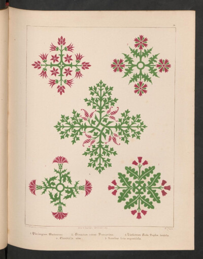 《Floriated ornament》（花卉装饰图案）是Augustus Welby Pugin（19世纪英格兰建筑设计师）关于建筑装饰的著作。内容为哥特式风格的装饰图案，此书共包含31种风格的图案，在对随后很长一段时间内工艺美术艺术家产生…