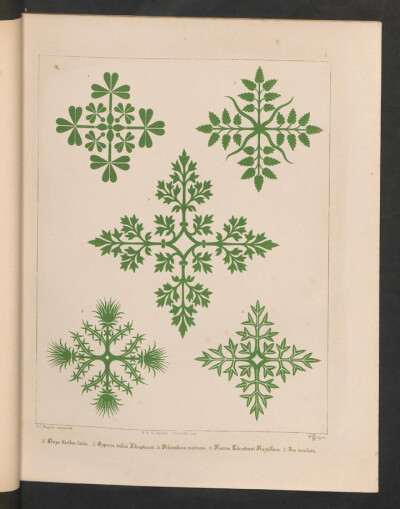 《Floriated ornament》（花卉装饰图案）是Augustus Welby Pugin（19世纪英格兰建筑设计师）关于建筑装饰的著作。内容为哥特式风格的装饰图案，此书共包含31种风格的图案，在对随后很长一段时间内工艺美术艺术家产生…