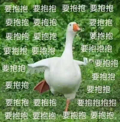 幸福的大白鸭。。。。。。哈哈哈哈哈哈哈哈哈哈哈哈哈哈哈哈哈哈哈哈.