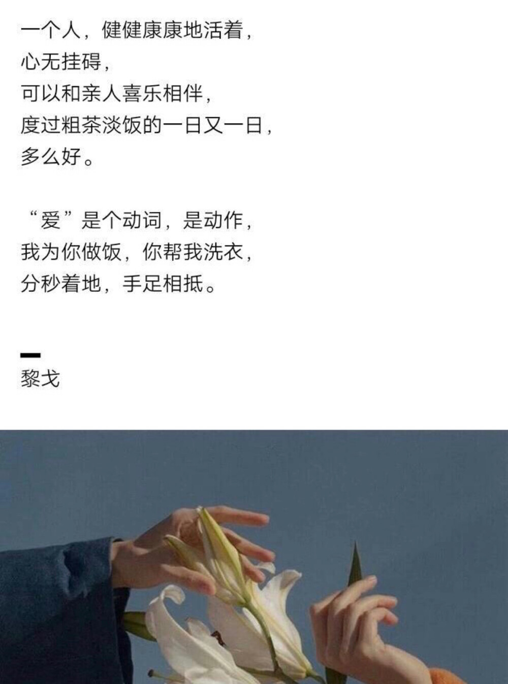 惊艳到你的句子