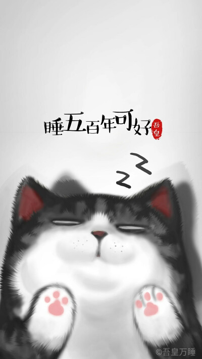 故宫的猫