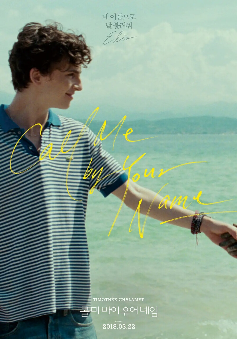 《请以你的名字呼唤我》 Call me by your name 海报