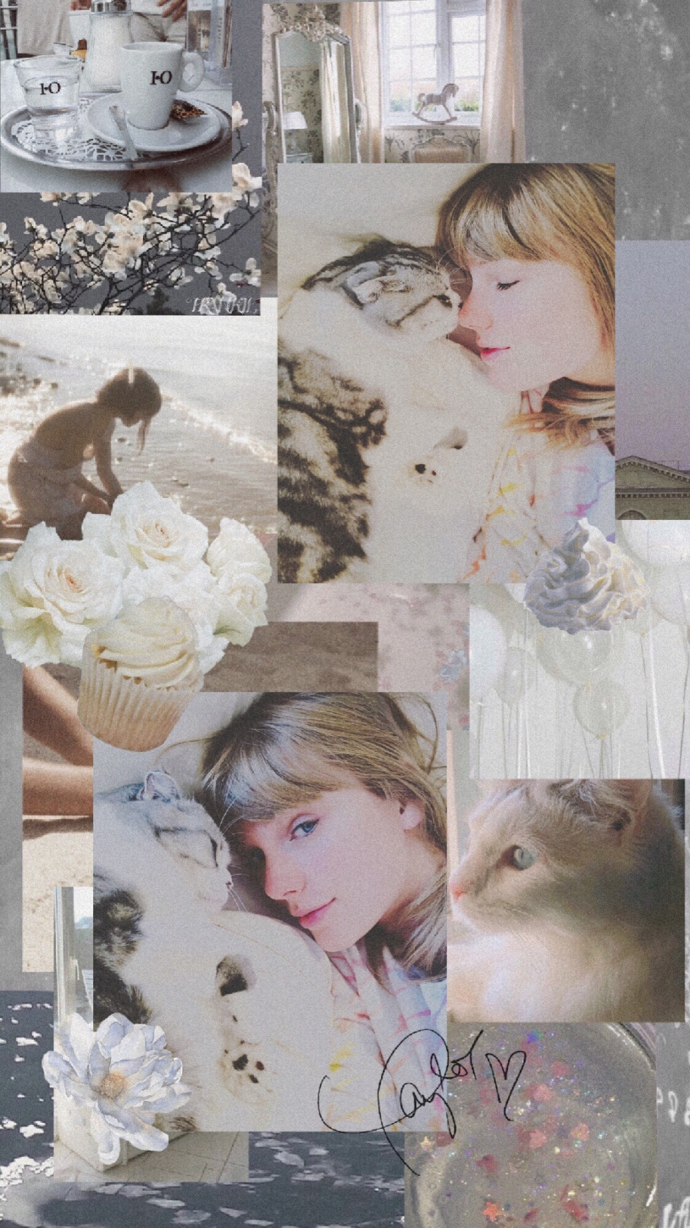 Taylor swift 壁纸 拼贴风
cr.Amoureuxcx-侵删