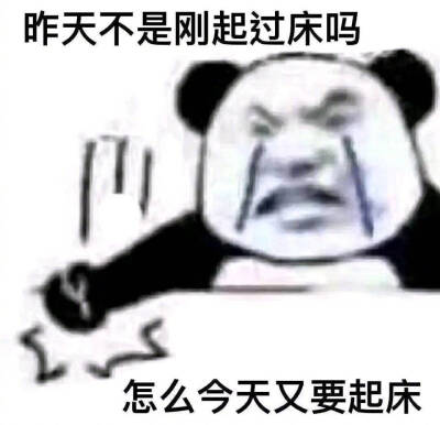  杂