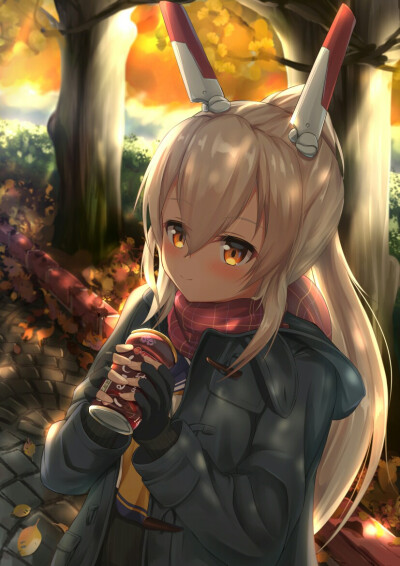 绫波