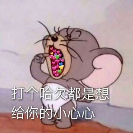 哈哈哈哈