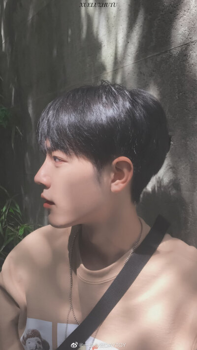 肖战‖180913
微博故事『夏天的风』