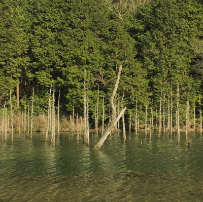  我见青山多妩媚
料青山见我应如是_