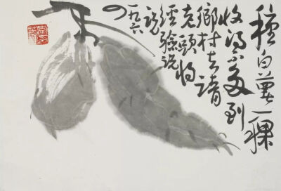 李苦禅《白薯》，纸本水墨，23×34cm，1964年