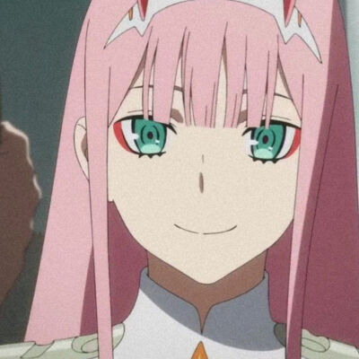 《DARLING in the FRANXX》
zy槍