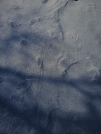 大雪封山☄