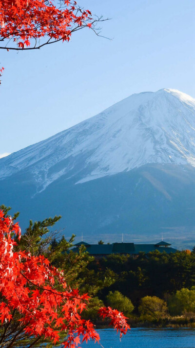 皮蛋｜日本富士山