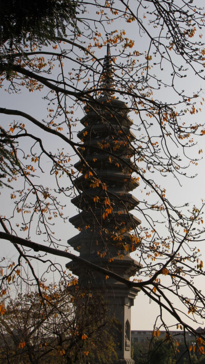 皮蛋｜福建南普陀寺